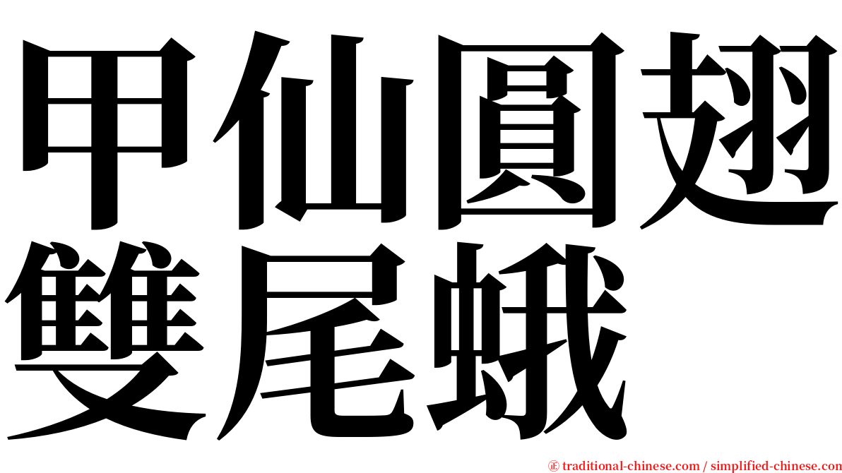 甲仙圓翅雙尾蛾 serif font