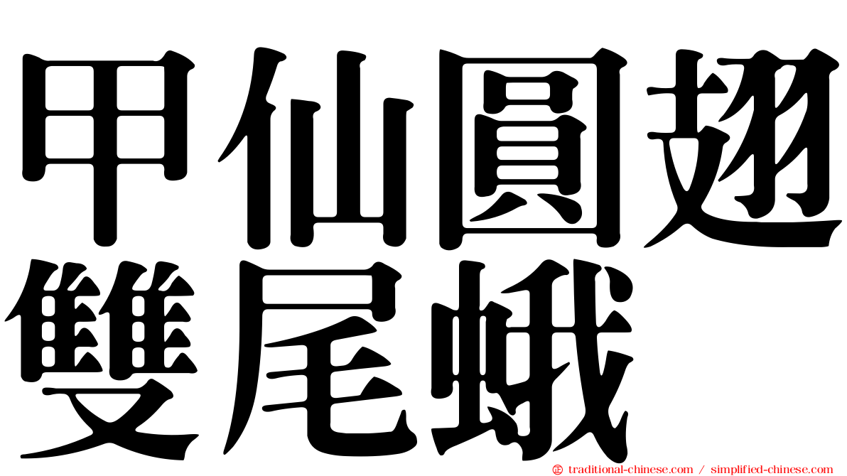 甲仙圓翅雙尾蛾