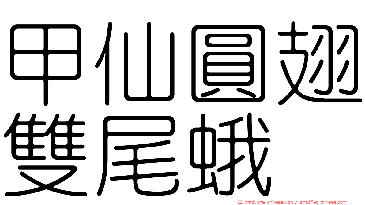 甲仙圓翅雙尾蛾