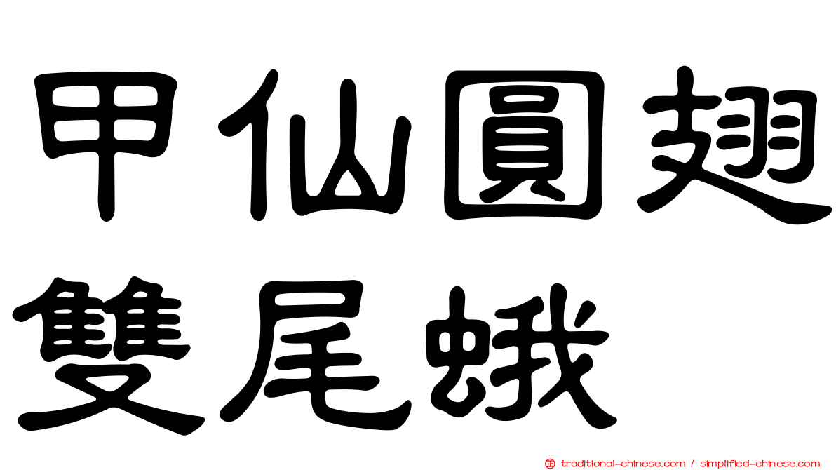 甲仙圓翅雙尾蛾