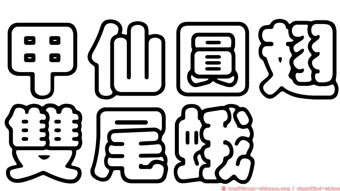 甲仙圓翅雙尾蛾