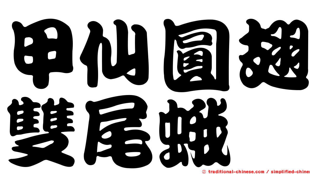 甲仙圓翅雙尾蛾