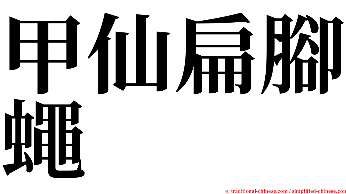 甲仙扁腳蠅 serif font