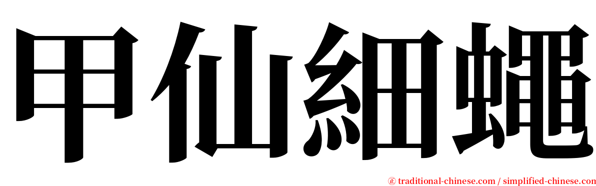 甲仙細蠅 serif font