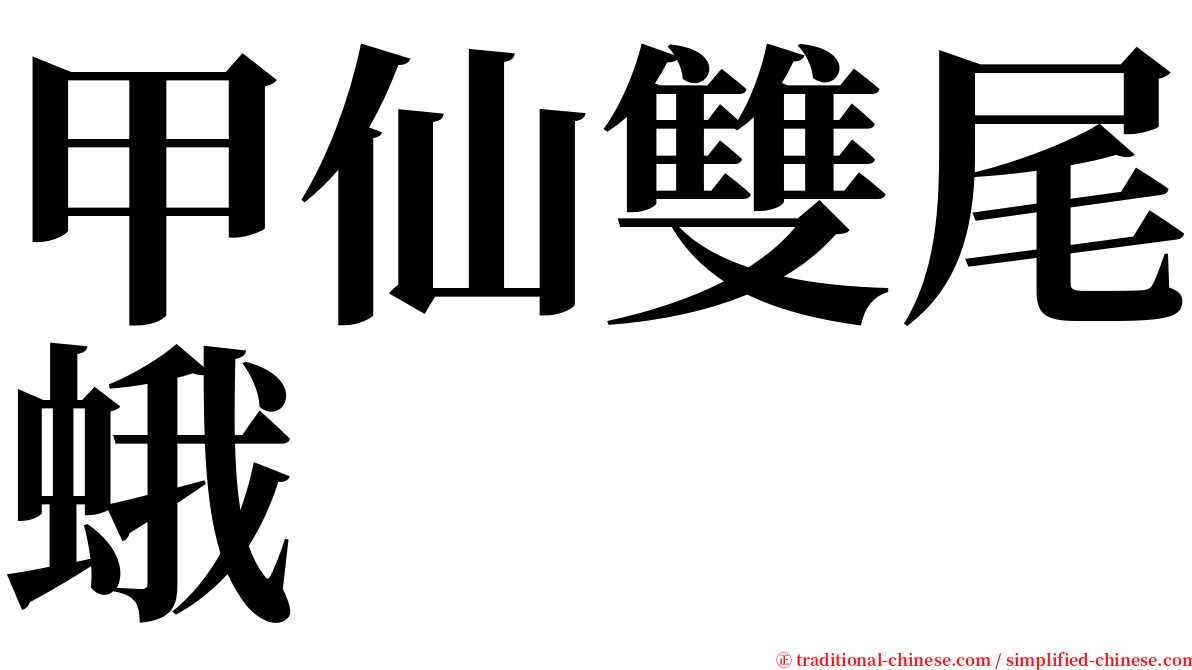 甲仙雙尾蛾 serif font