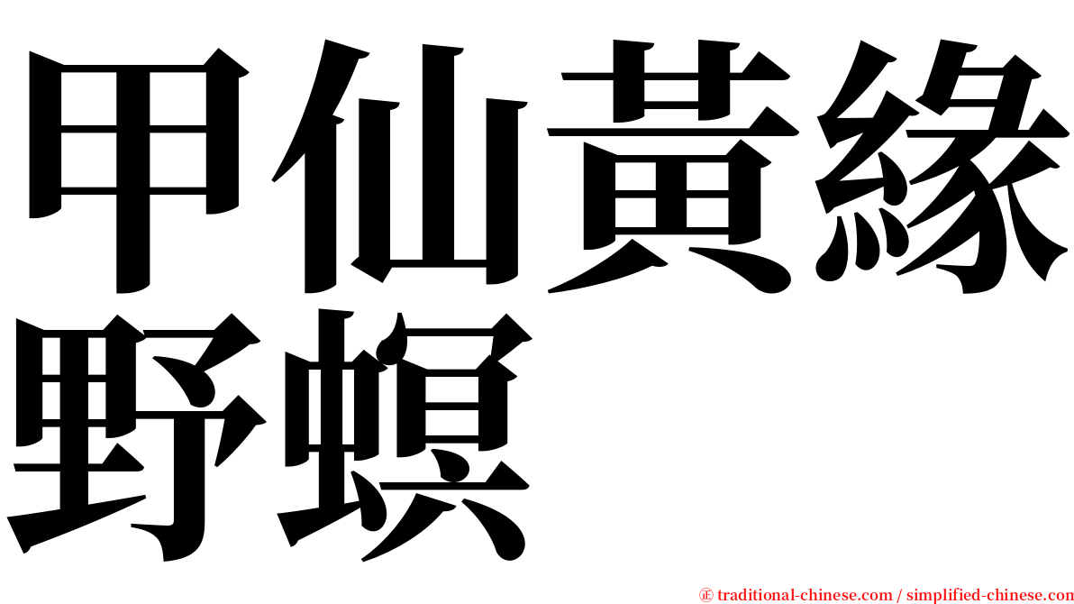 甲仙黃緣野螟 serif font