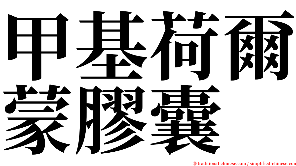 甲基荷爾蒙膠囊 serif font