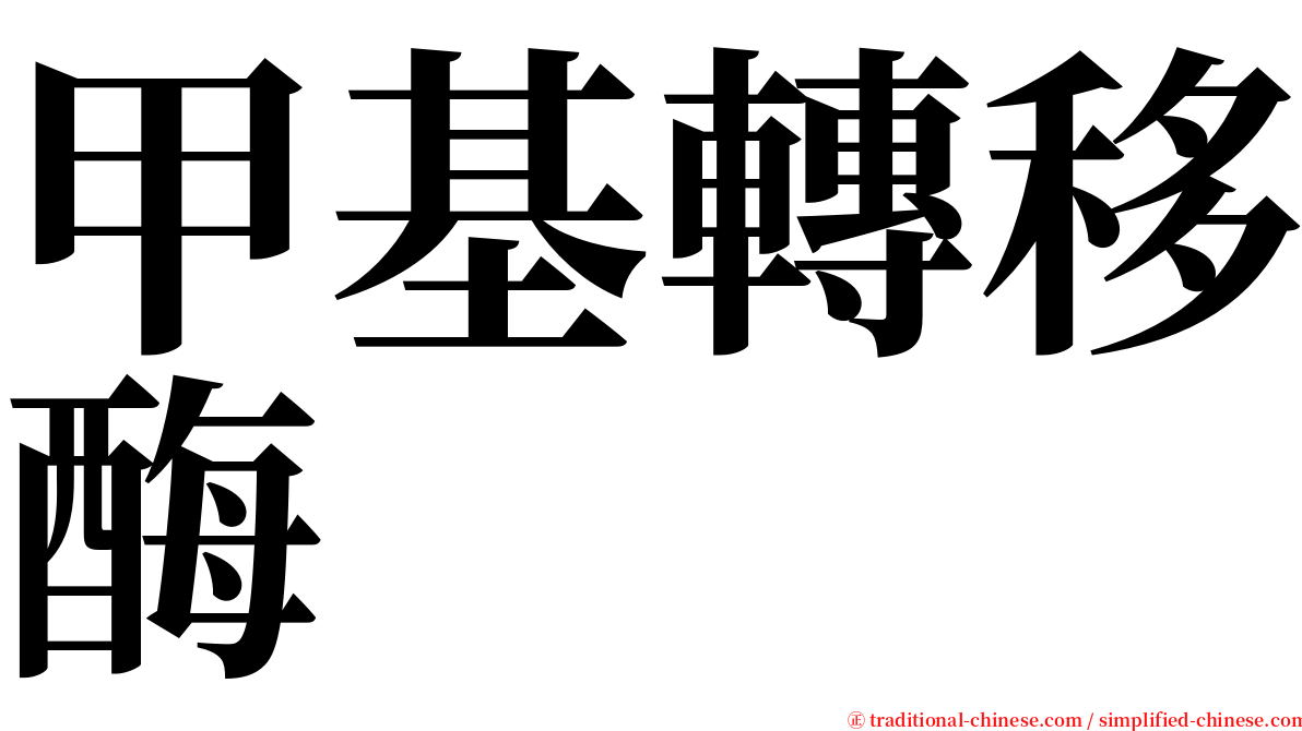 甲基轉移酶 serif font