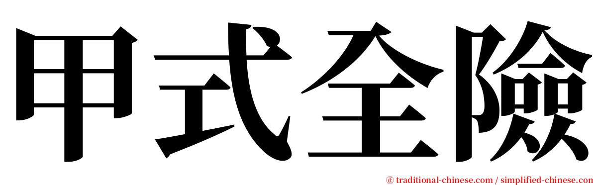 甲式全險 serif font