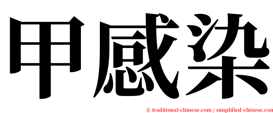 甲感染 serif font