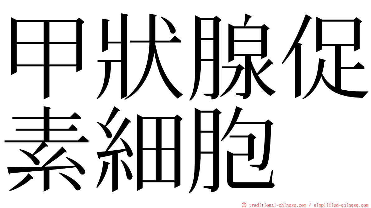 甲狀腺促素細胞 ming font