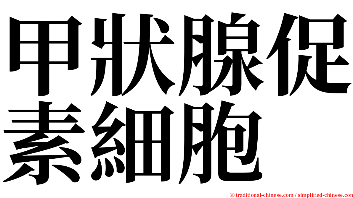 甲狀腺促素細胞 serif font