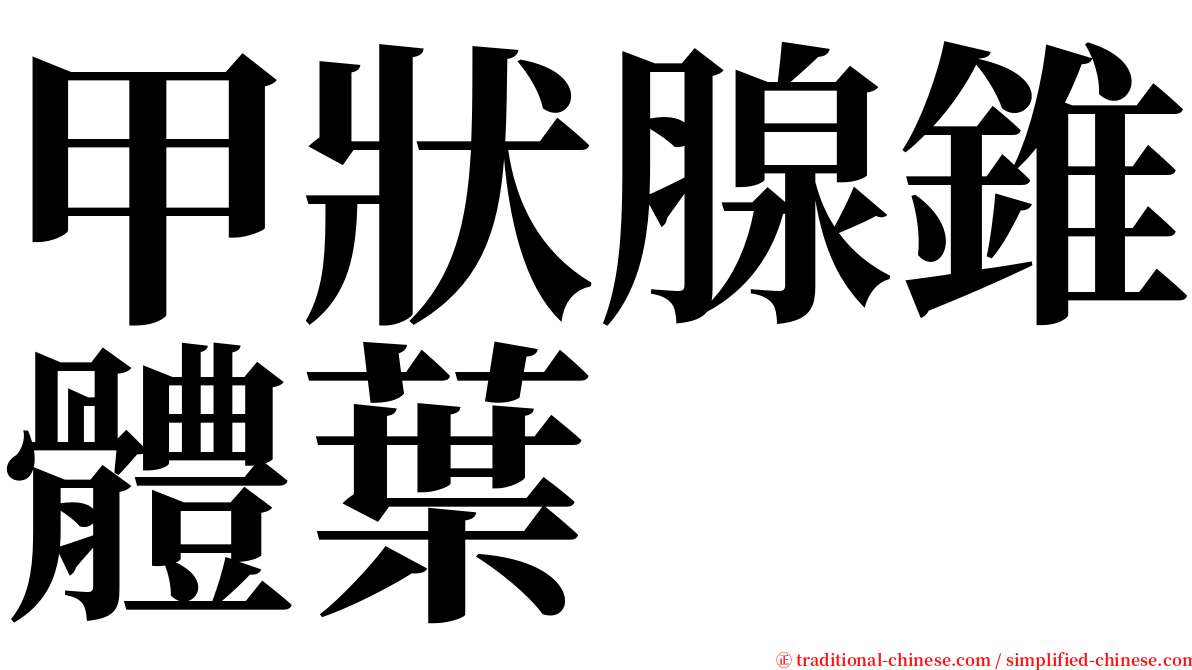 甲狀腺錐體葉 serif font