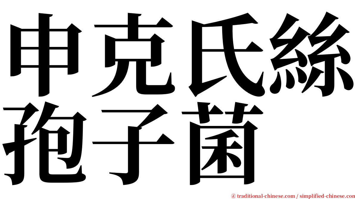 申克氏絲孢子菌 serif font