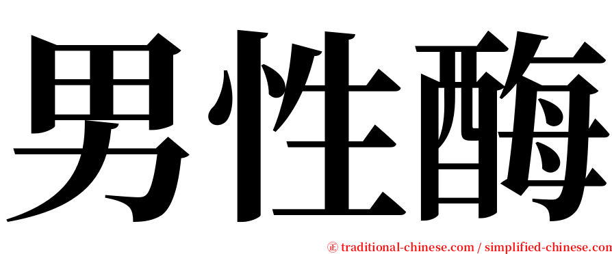 男性酶 serif font