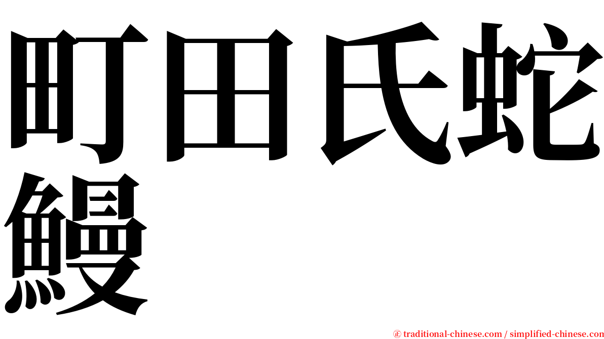 町田氏蛇鰻 serif font