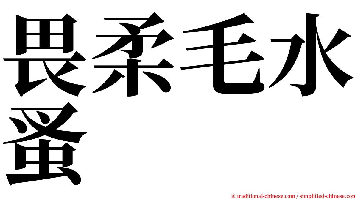 畏柔毛水蚤 serif font