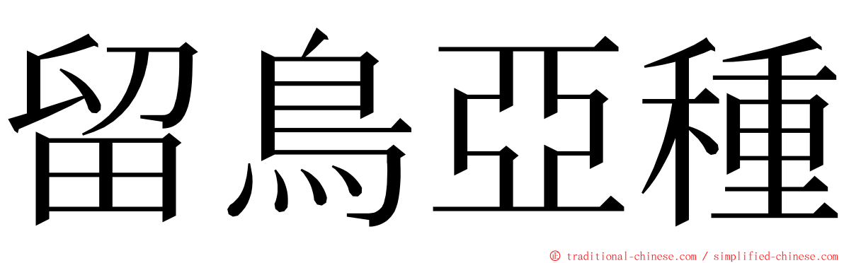 留鳥亞種 ming font