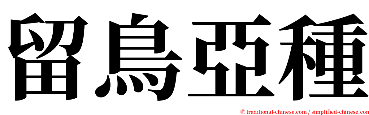 留鳥亞種 serif font