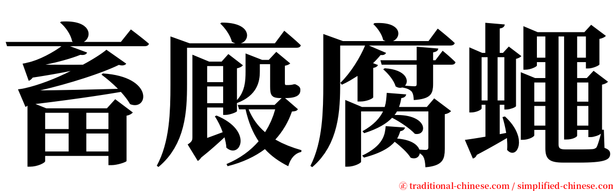 畜廄腐蠅 serif font