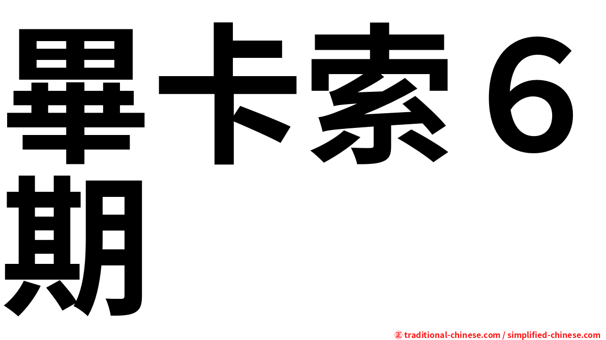 畢卡索６期