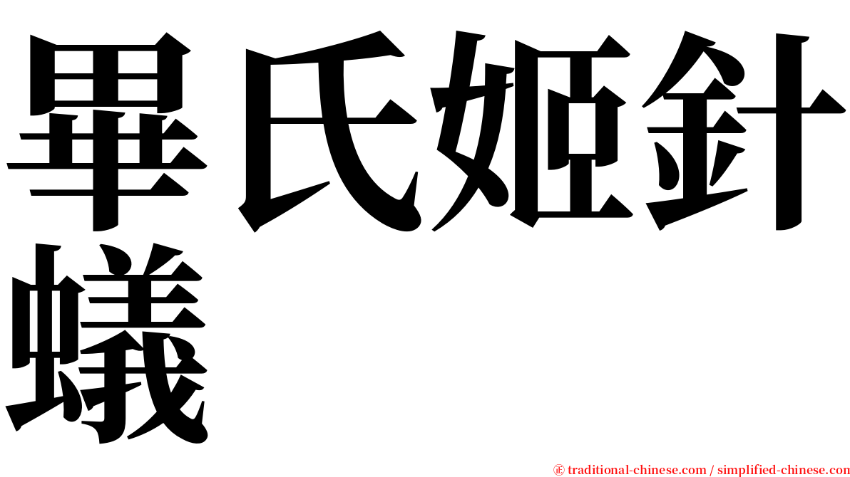 畢氏姬針蟻 serif font