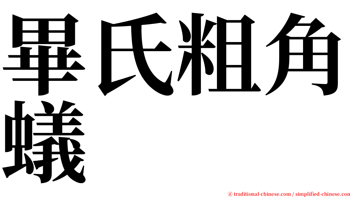 畢氏粗角蟻 serif font