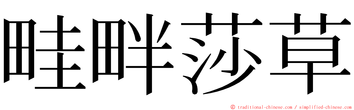 畦畔莎草 ming font