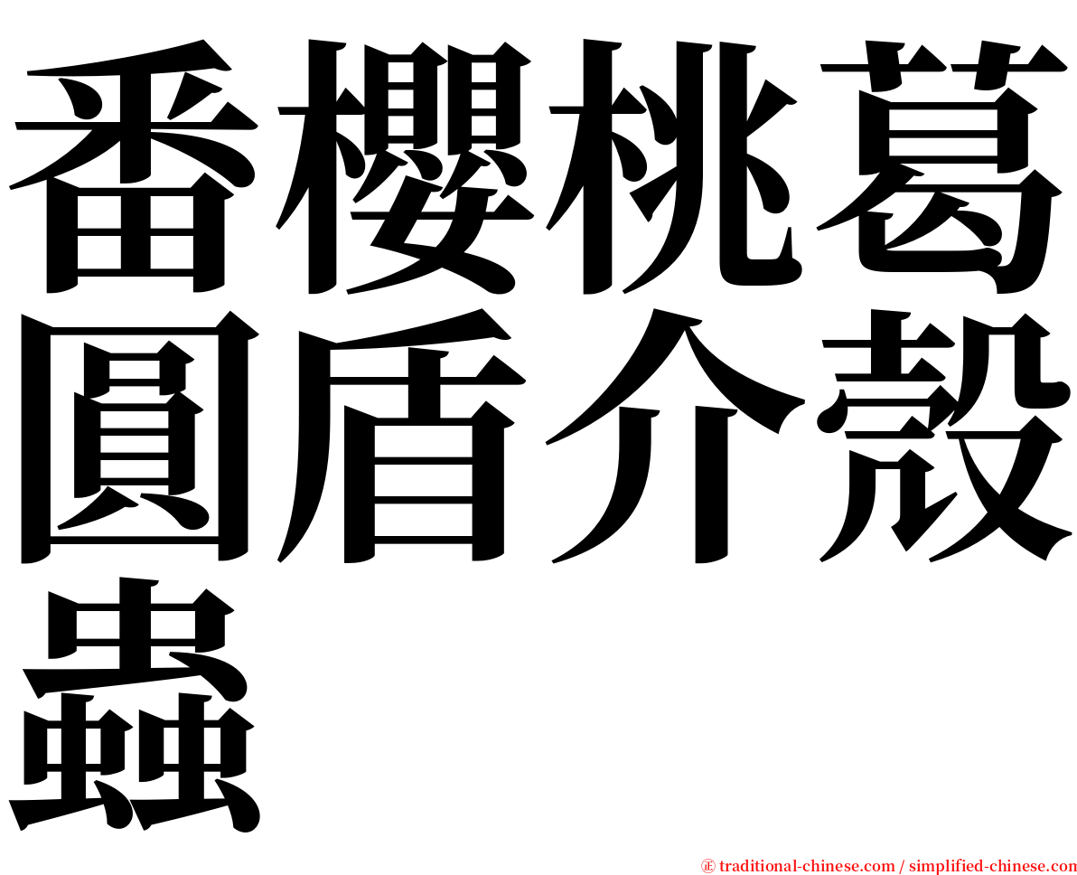 番櫻桃葛圓盾介殼蟲 serif font