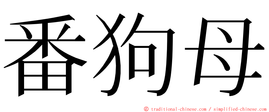 番狗母 ming font