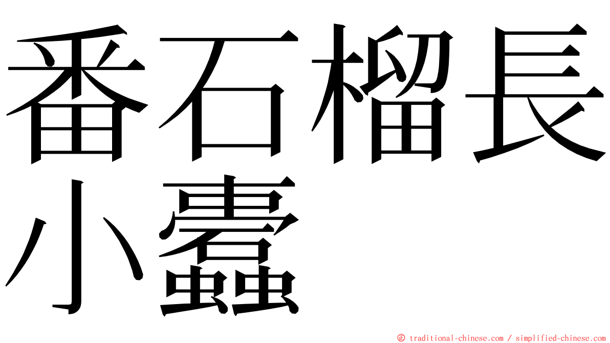 番石榴長小蠹 ming font