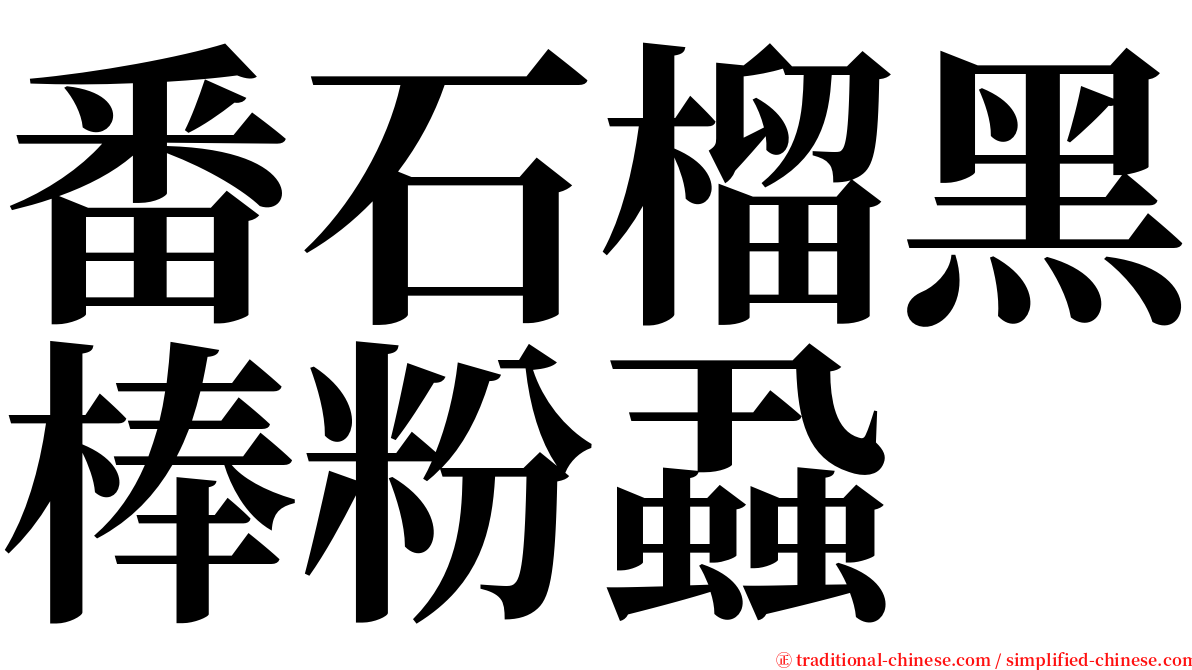 番石榴黑棒粉蝨 serif font