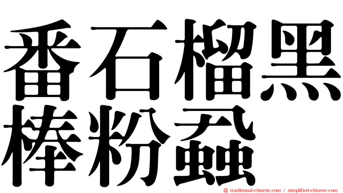 番石榴黑棒粉蝨