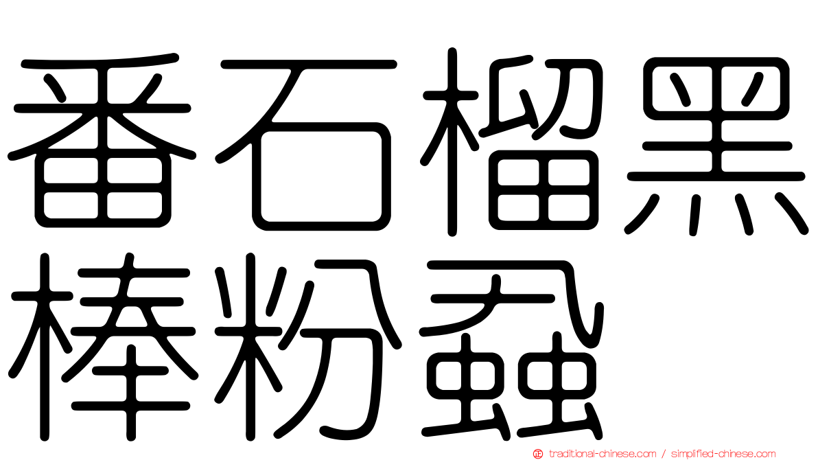 番石榴黑棒粉蝨