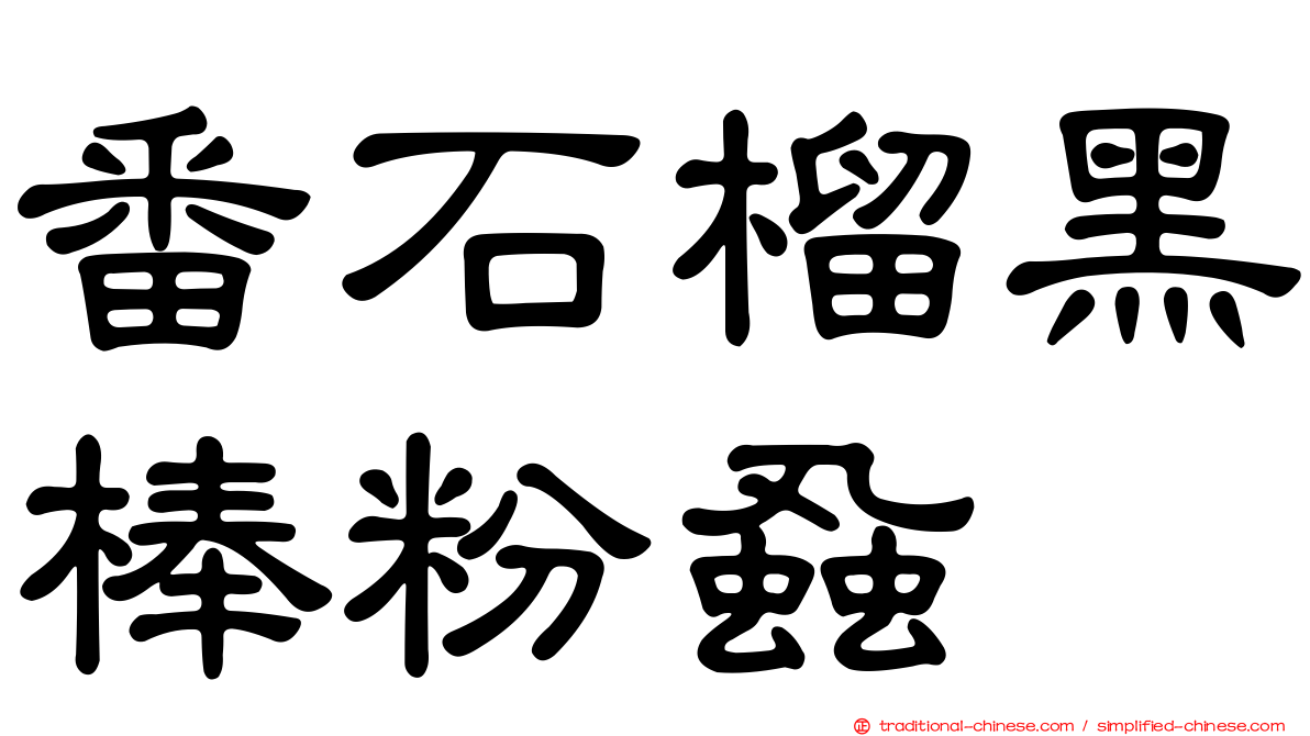 番石榴黑棒粉蝨