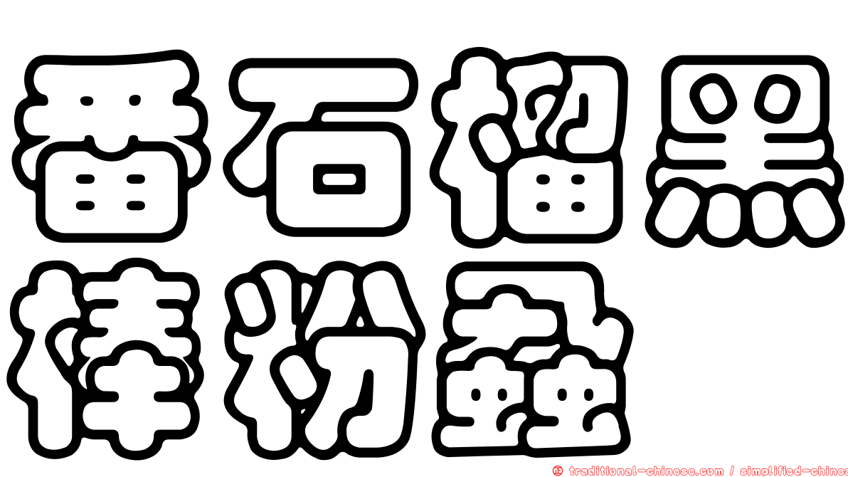 番石榴黑棒粉蝨
