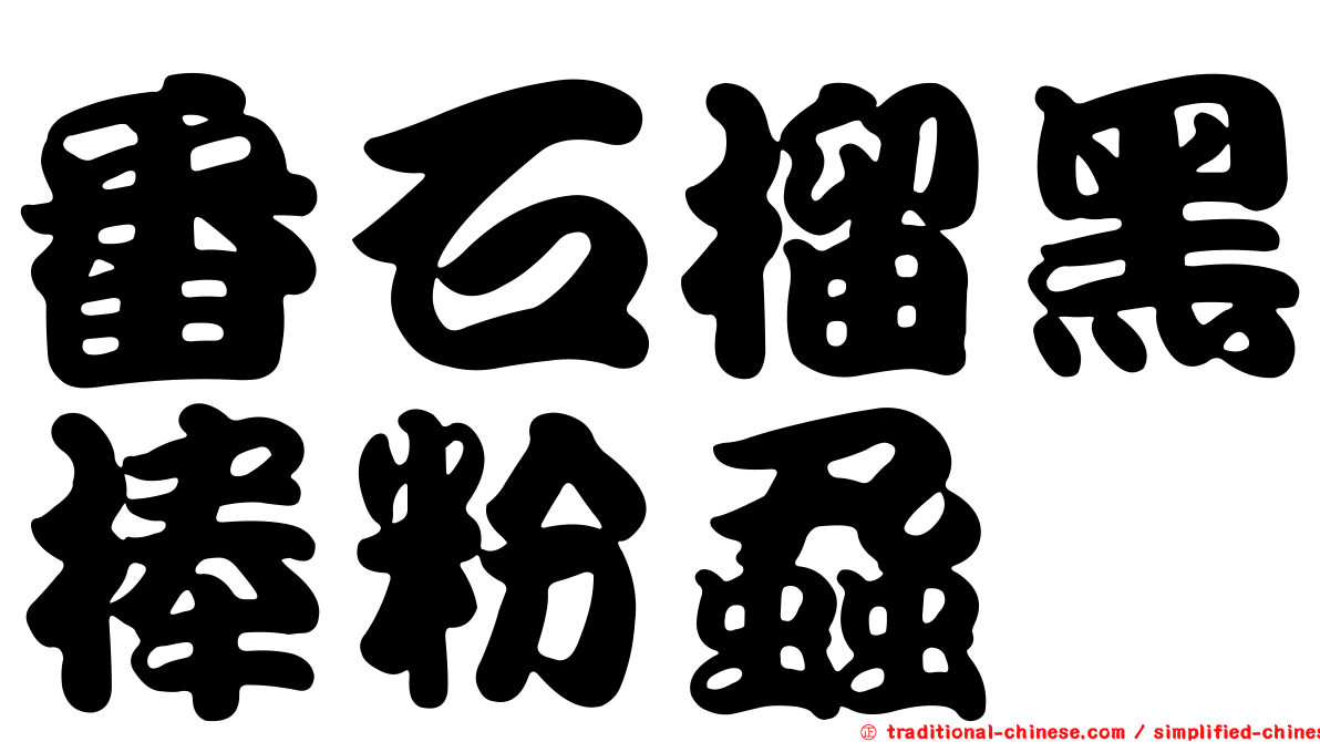 番石榴黑棒粉蝨