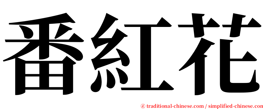 番紅花 serif font