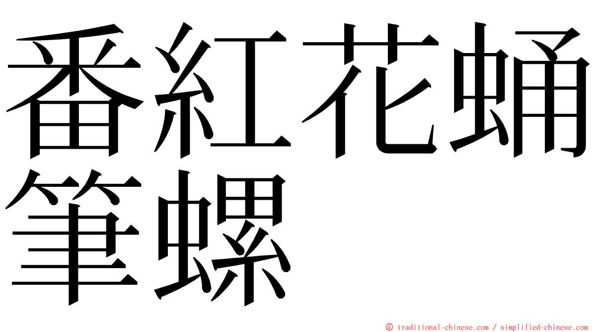 番紅花蛹筆螺 ming font