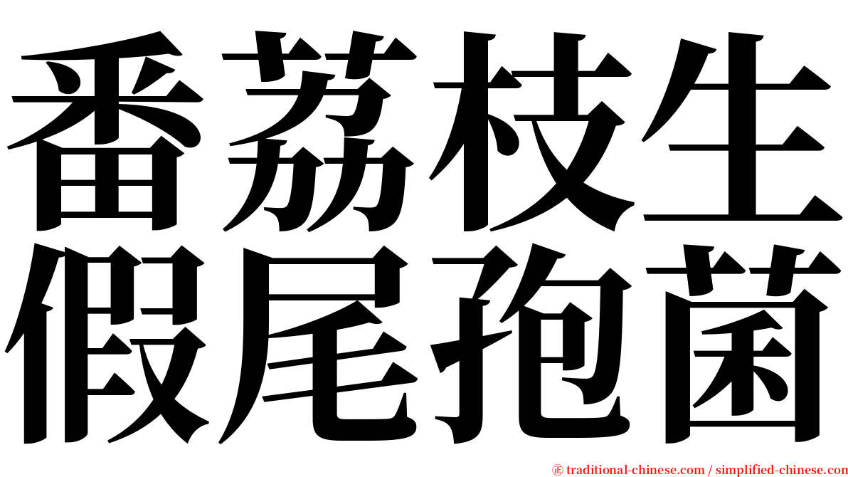 番荔枝生假尾孢菌 serif font