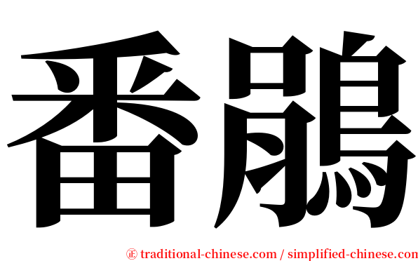 番鵑 serif font