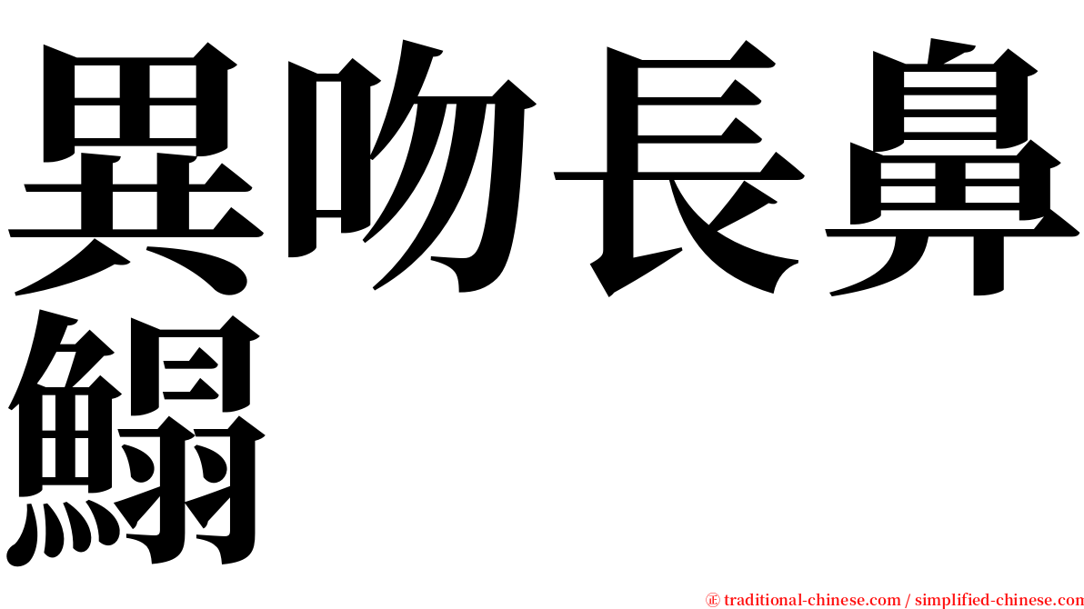 異吻長鼻鰨 serif font