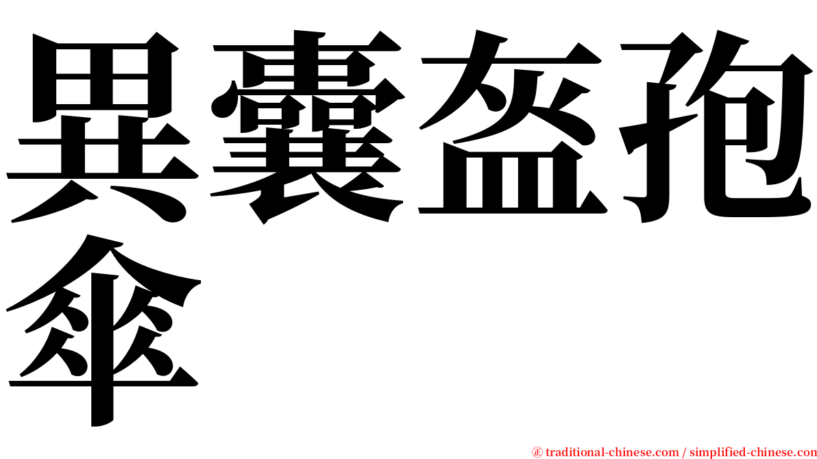 異囊盔孢傘 serif font