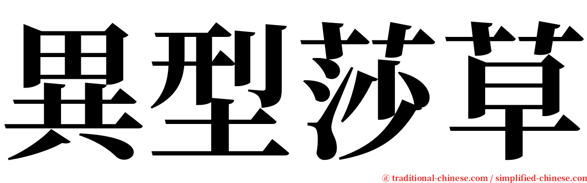 異型莎草 serif font