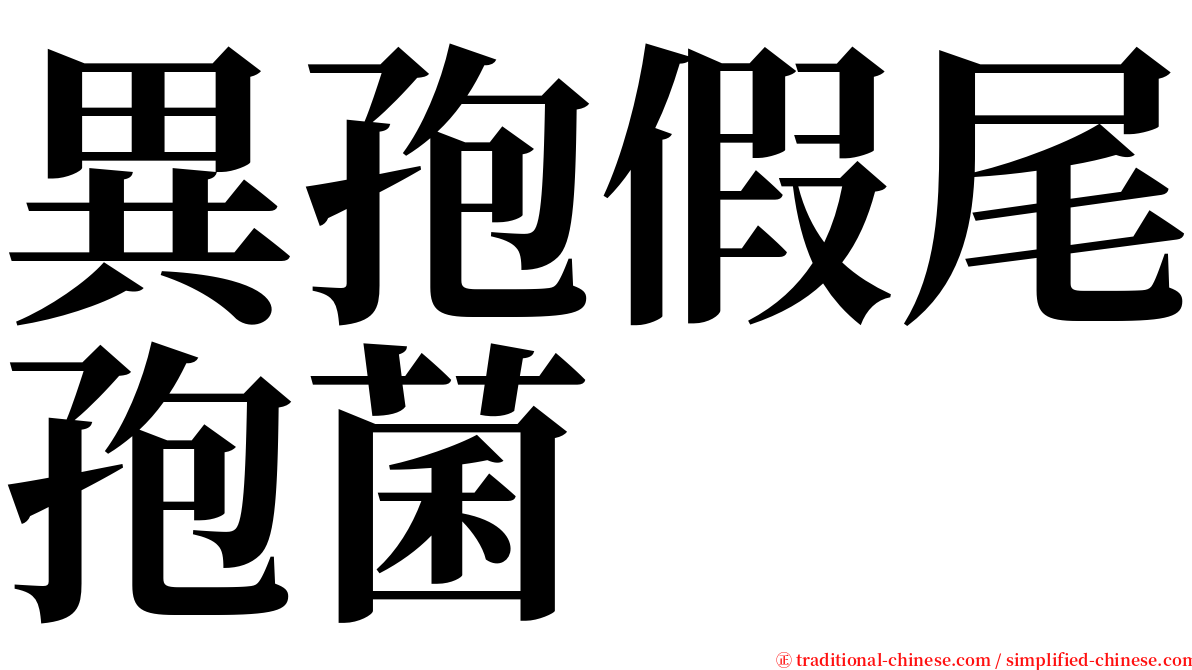 異孢假尾孢菌 serif font