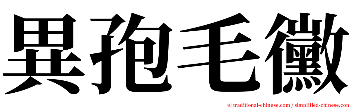 異孢毛黴 serif font