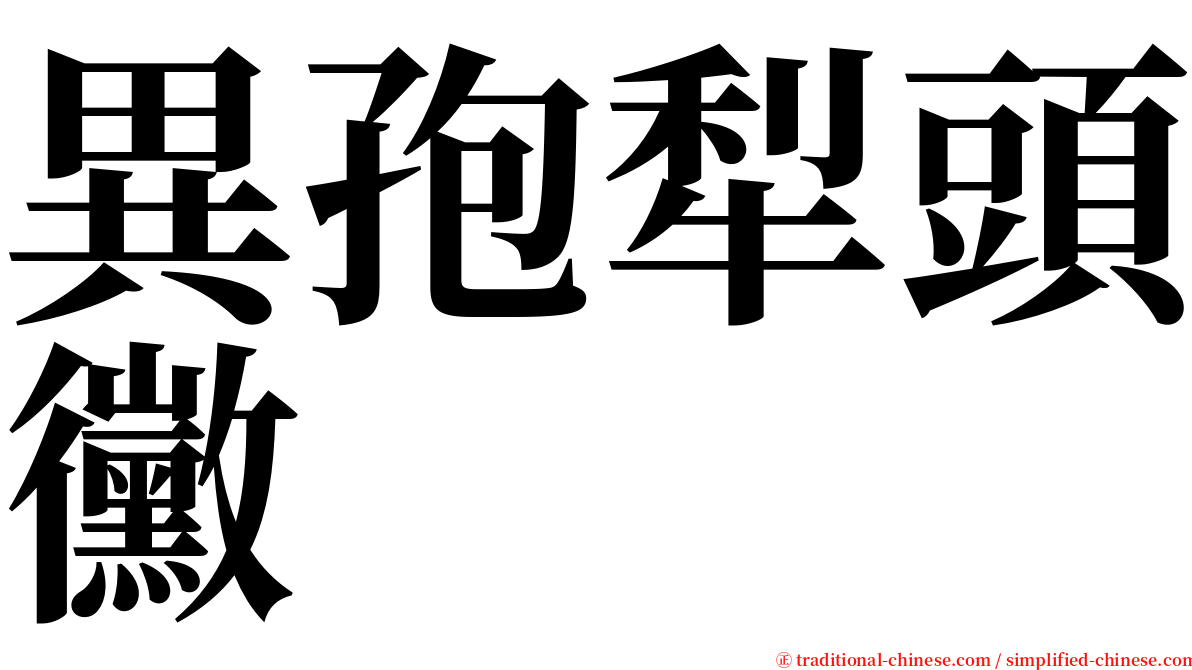 異孢犁頭黴 serif font