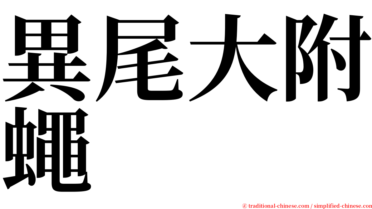 異尾大附蠅 serif font