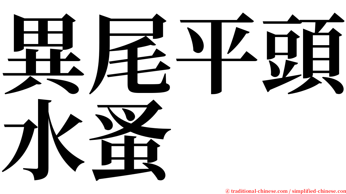 異尾平頭水蚤 serif font