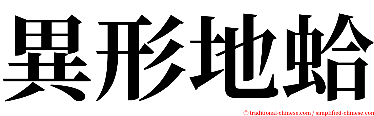 異形地蛤 serif font